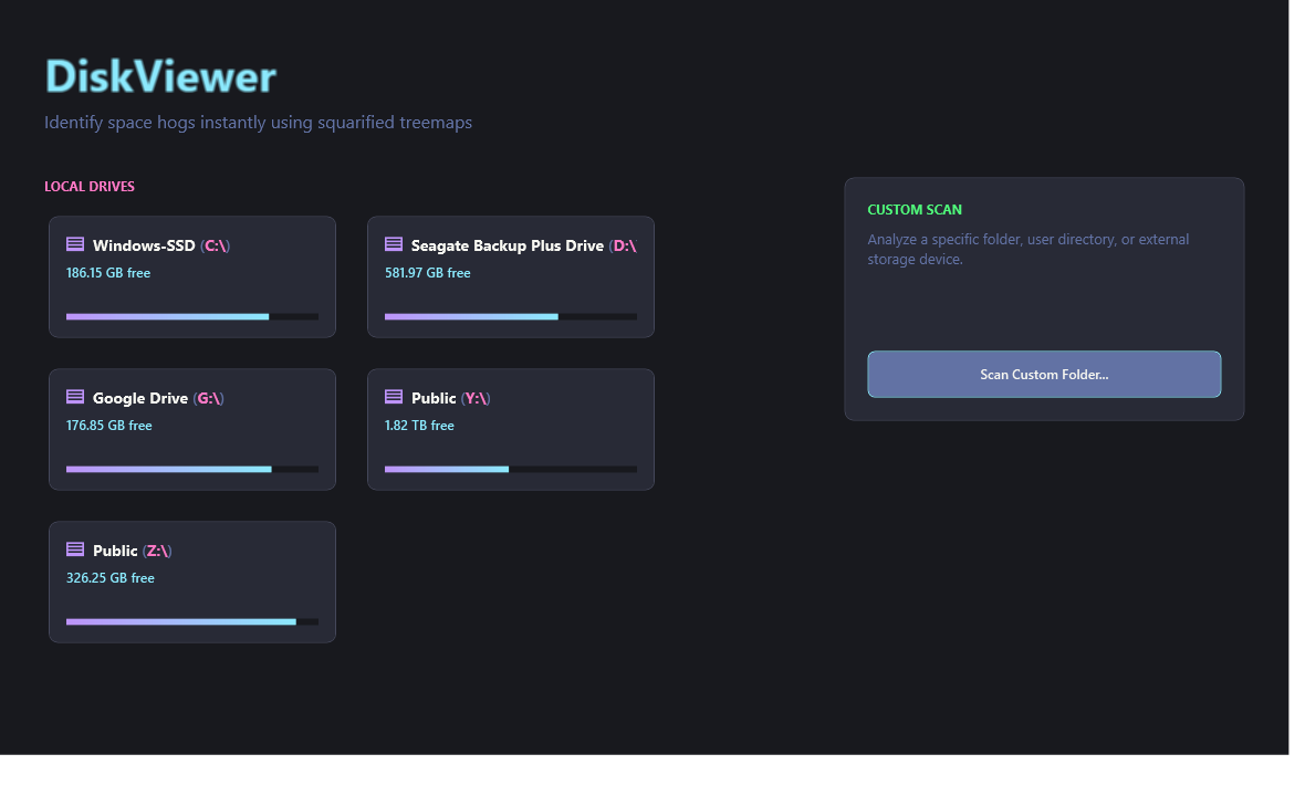 DiskViewer Drive Overview Screen displaying all system drives